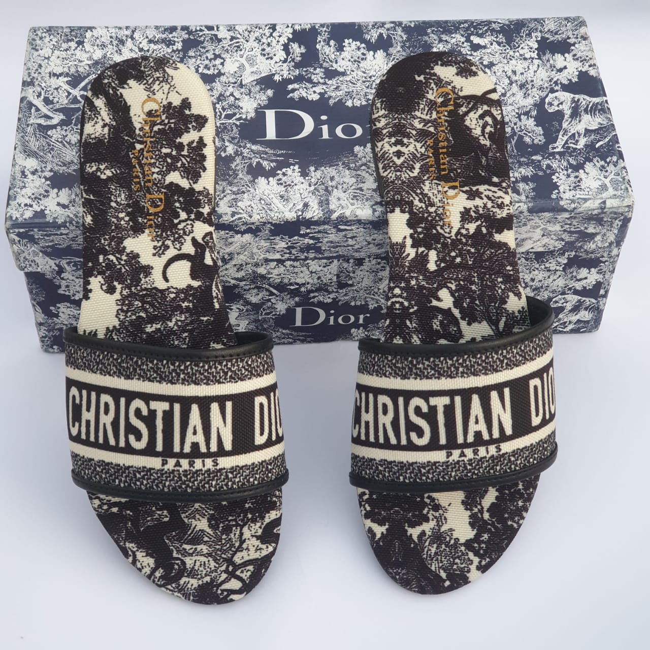 DIOR FLATS 1
